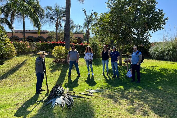 Private Tequila Tour with Local Expert - Casa Marengo and the family-scale difference