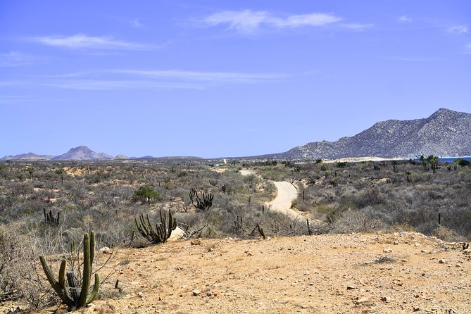 Private Tour Baja Jeep 4x4 Adventure at Los Cabos - Santiago and its oasis setting
