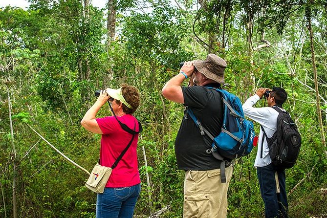 Private Tour: Birdwatching from Cancun - Why the 5 a.m. start matters