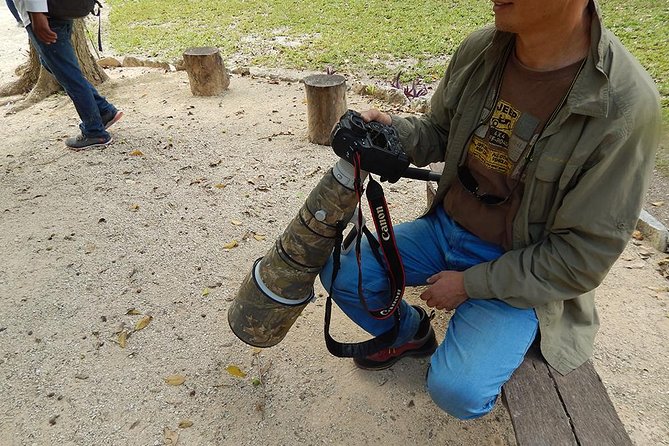 Private Tour: Birdwatching from Cancun - The private vehicle and flexible pace