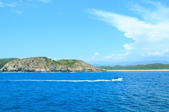 Private Tour Seven Bays, Huatulco HT - Wildlife Beyond the Bays