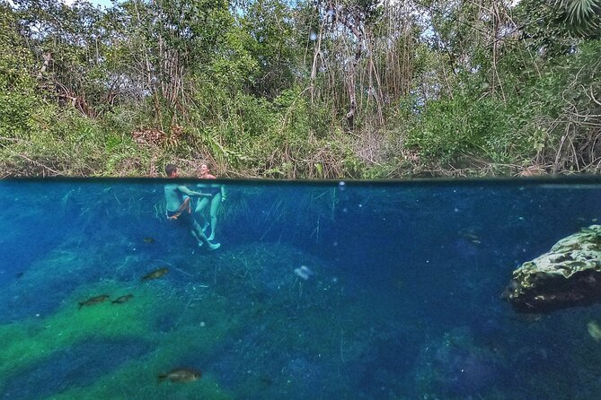 Private Tour The Best Cenotes in Tulum Riviera Maya - Why the private format changes the day