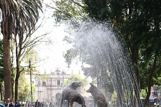 Private Tour: Xochimilco, Coyoacan and Frida Kahlo Museum - Should you book it?