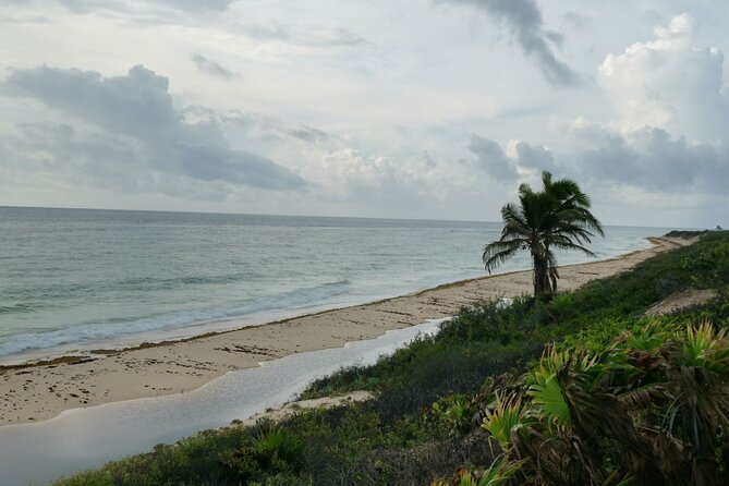 Private Transfer-Cancun Airport-Playa del Carmen One Way - Booking details worth checking