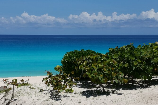 Private Transfer-Cancun Airport-Playa del Carmen One Way - Getting from the airport to your accommodation