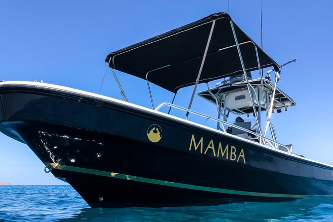 Private Trip Espiritu Santo Island - Why Espiritu Santo is the right kind of boat day