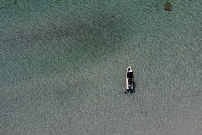 Private Trip Espiritu Santo Island - Lunch with ceviche in a secluded bay