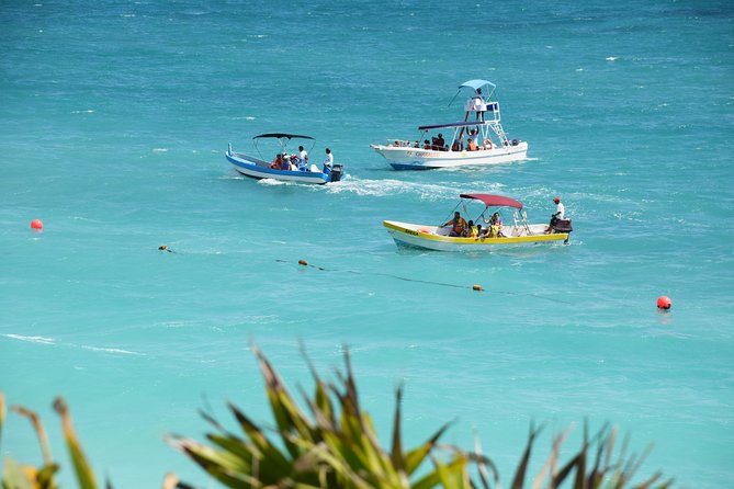 Private Tulum Ruins, Reef Snorkel & Cenote Adventure - What private transportation changes