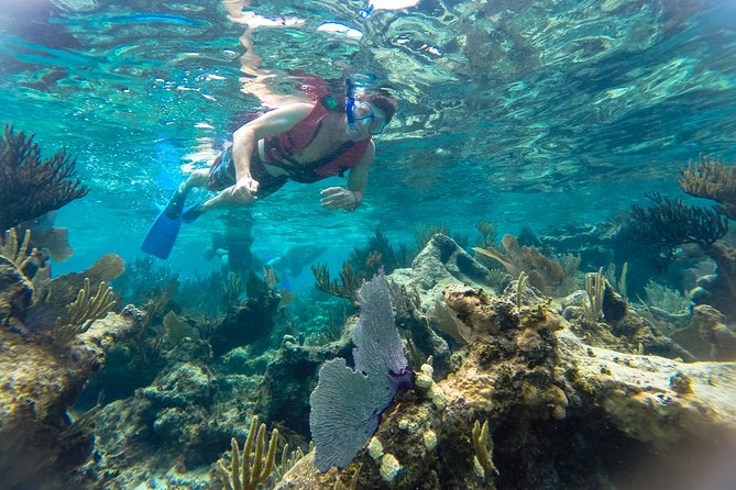 Private Tulum Ruins, Reef Snorkel & Cenote Adventure - Reef snorkeling from a short boat ride
