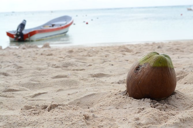 Private Turtles & Cenotes Adventure - Two worlds of water in five hours
