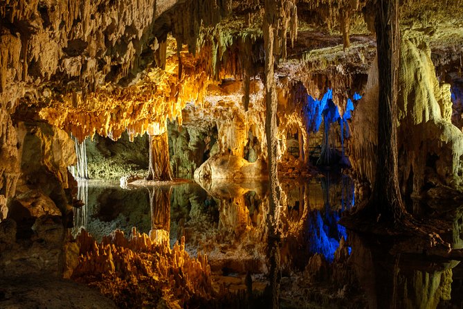 Private Turtles & Cenotes Adventure - The early start and the five-hour limit
