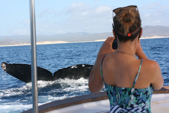 Private Whale Watching in San José del Cabo - Meeting the boat in San José del Cabo