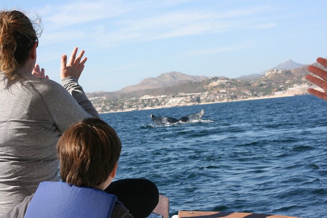 Private Whale Watching in San José del Cabo - What the $200 price means