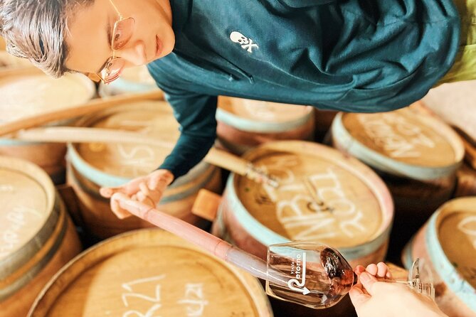 Private Wine Tour at Valle de Guadalupe (A wine tasting included). - Key points to know before booking