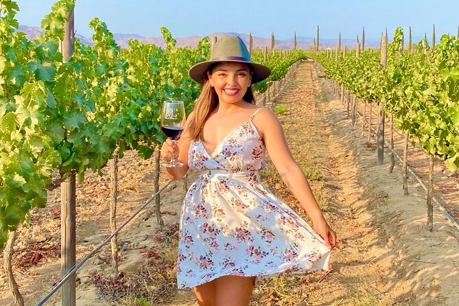 Private Wine Tour at Valle de Guadalupe (A wine tasting included). - Starting with a boutique tasting at Tres Valles