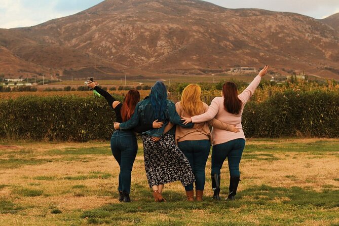 Private Wine Tour at Valle de Guadalupe (A wine tasting included). - Transport, snacks, and the practical value