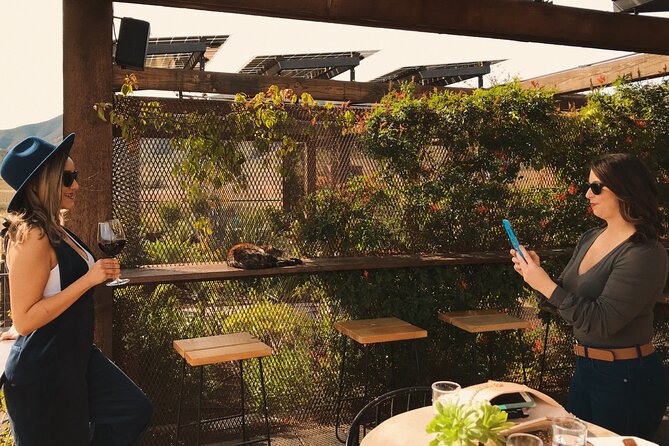 Private Wine Tour at Valle de Guadalupe (A wine tasting included). - Choosing the second and third wineries
