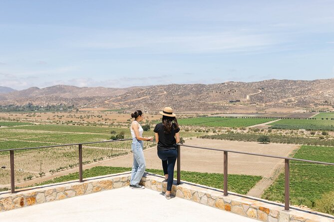 Private Wine Tour by Ansell Tours - Start at Finca La Carrodilla
