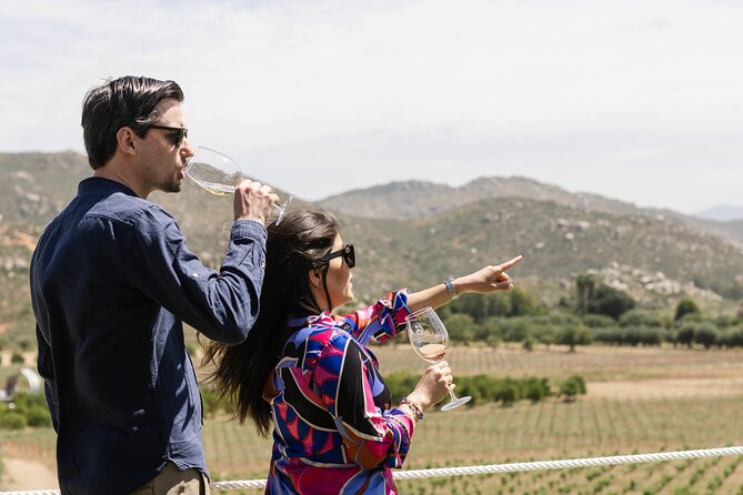 Private Wine Tour by Ansell Tours - Take in the vineyard views at Viña de Frannes