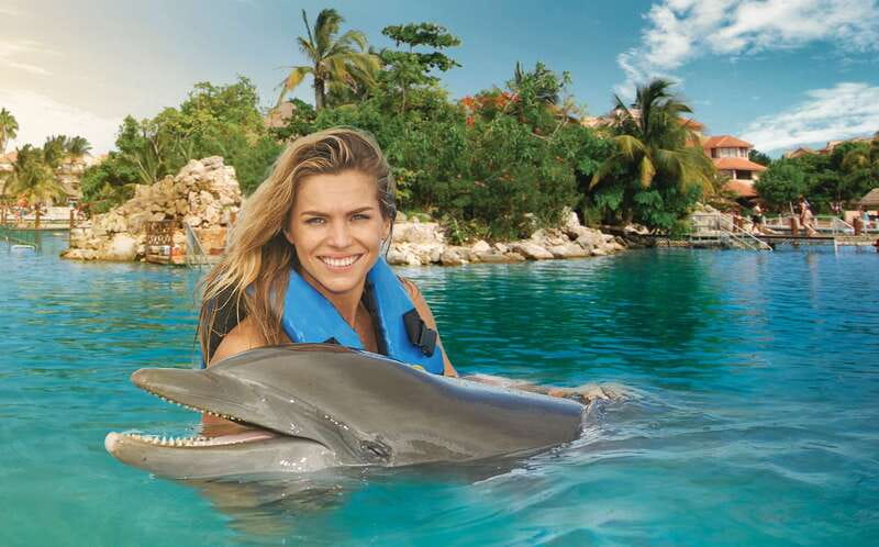 Puerto Aventuras: Dolphin Swim, Sea Lions, Manatees, & Lunch - Sixty minutes with the dolphins