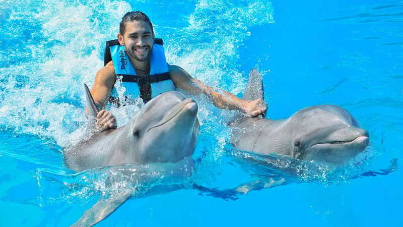 Puerto Aventuras: Dolphin Swim, Sea Lions, Manatees, & Lunch - Thirty minutes with sea lions