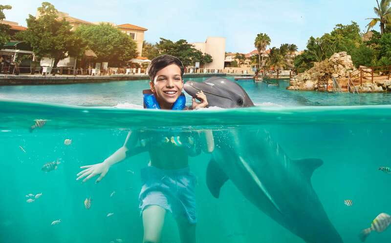 Puerto Aventuras: Dolphin Swim, Sea Lions, Manatees, & Lunch - The 15-minute briefing sets the rules