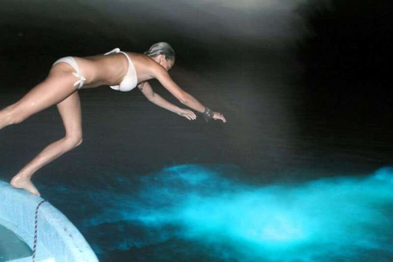 Puerto Escondido: Bioluminescence Night Spectacle - What the $46 price includes
