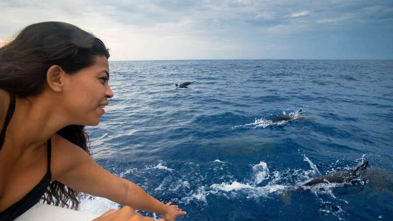 Puerto Escondido: Boat Tour among Dolphins and Turtles - Searching for dolphins beside the boat