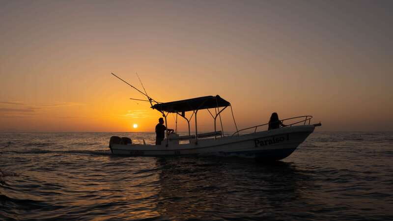 Puerto Escondido: Boat Tour among Dolphins and Turtles - From your hotel lobby to the Pacific