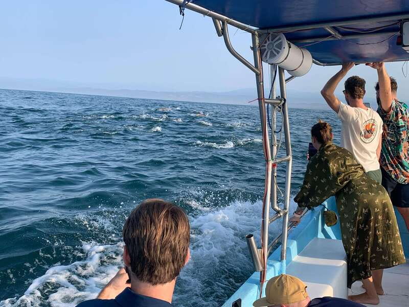 Puerto Escondido: Boat Tour to see Dolphins and Marine Life - Quick points to know