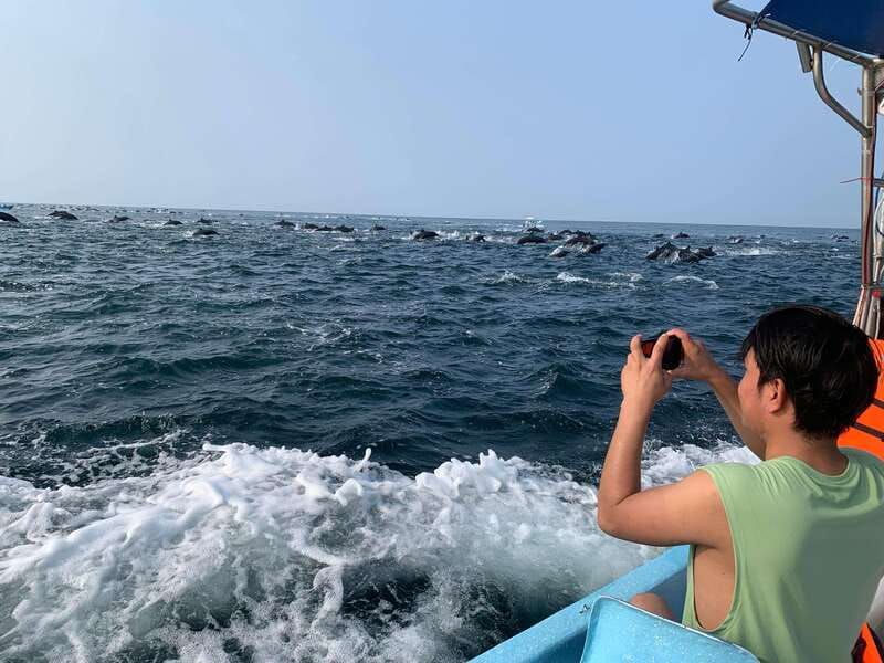 Puerto Escondido: Boat Tour to see Dolphins and Marine Life - Leaving Puerto Angelito in search of dolphins
