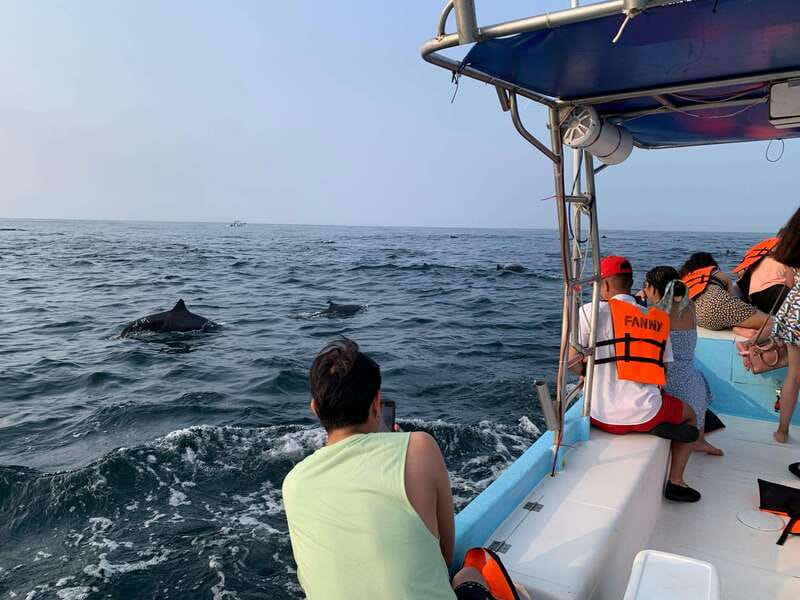 Puerto Escondido: Boat Tour to see Dolphins and Marine Life - Winter whale watching from November through March