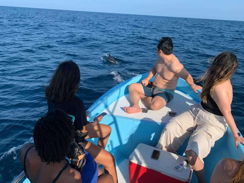 Puerto Escondido: Boat Tour to see Dolphins and Marine Life - What $46 buys you