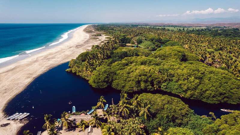 Puerto Escondido: Oaxaca Coast Wildlife Ecotour - Key things to know