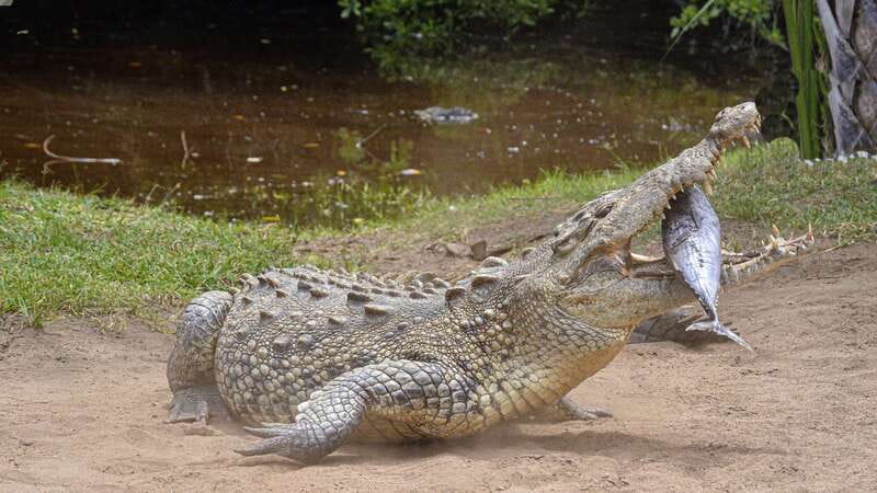 Puerto Escondido: Oaxaca Coast Wildlife Ecotour - Estacahuite offers the day’s calmest water