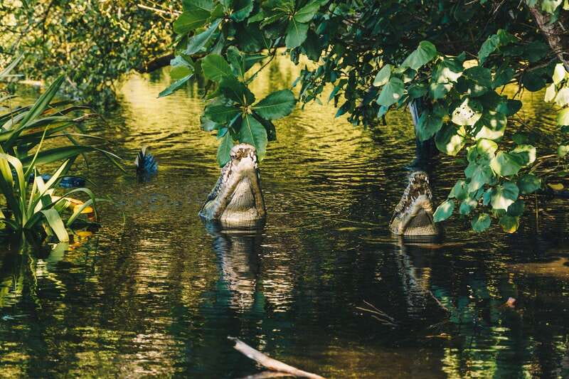 Puerto Escondido: Oaxaca Coast Wildlife Ecotour - The long ride back is part of the bargain