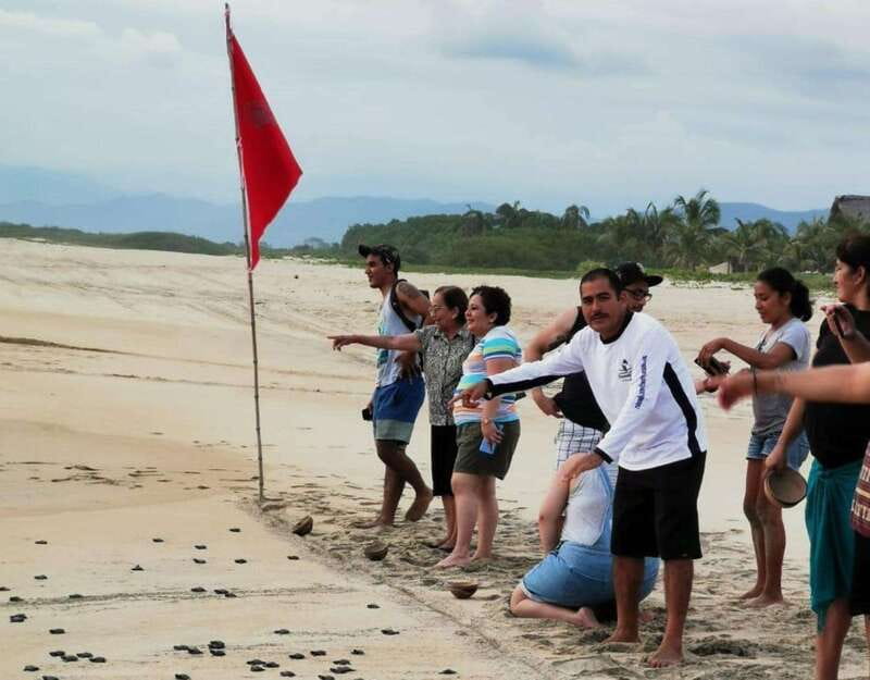 Puerto Escondido: Turtle Release Experience - The walk to the waves