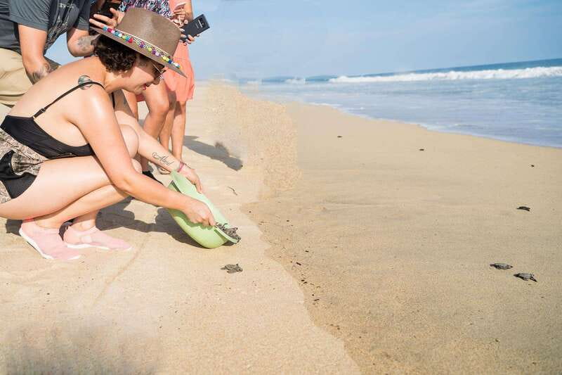 Puerto Escondido: Turtle Release Experience - Pickup from Puerto Escondido and the ride out
