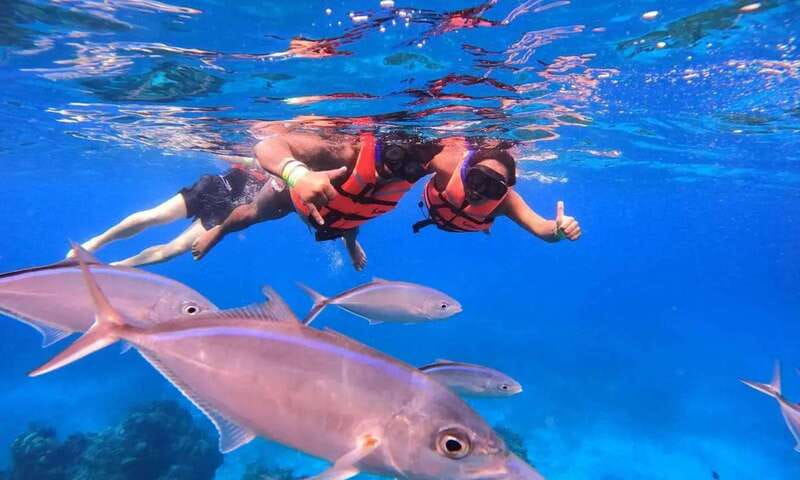 Puerto Morelos: Guided Snorkeling Tour with Gear & Fees - Key points before you book