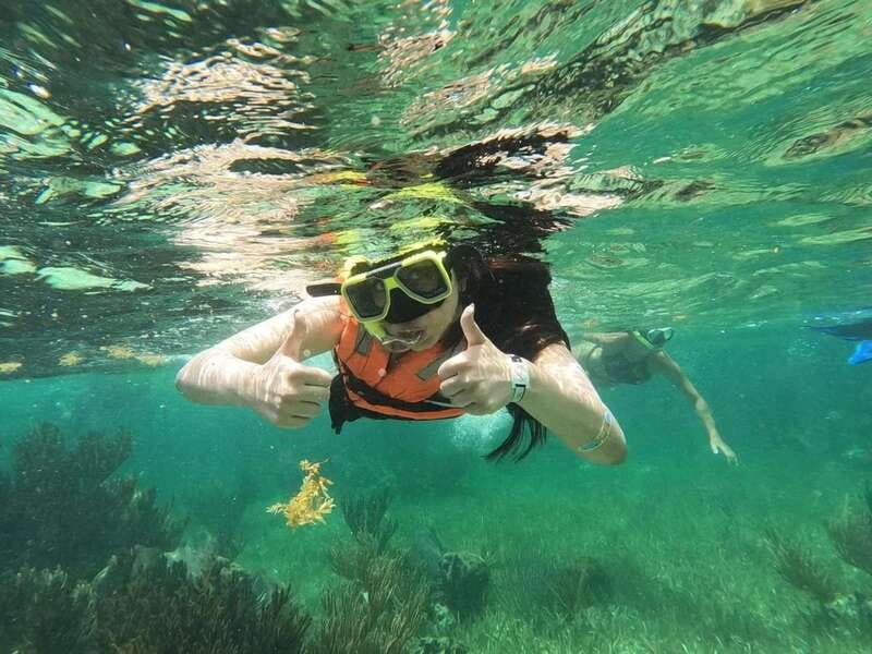 Puerto Morelos: Guided Snorkeling Tour with Gear & Fees - Puerto Morelos reefs without an all-day commitment