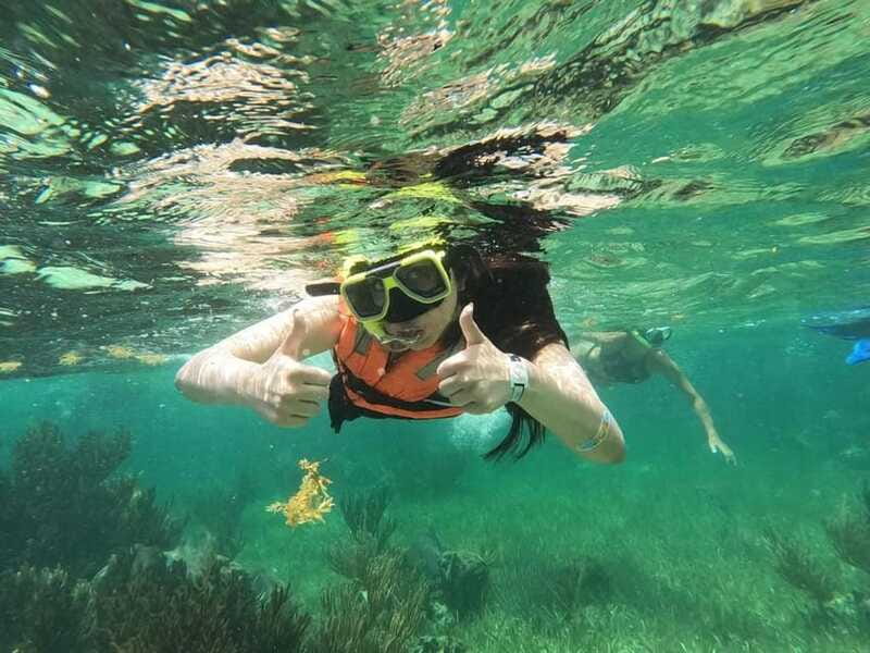 Puerto Morelos: Guided Snorkeling Tour with Gear & Fees - Who should book this Puerto Morelos snorkeling trip