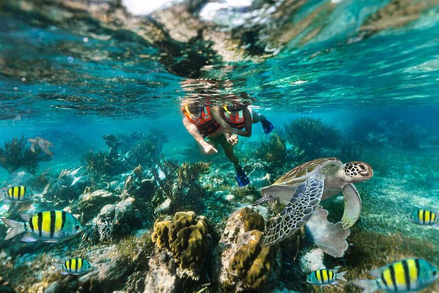Puerto Morelos: National Reef Park Snorkeling & Beach Lunch - An Hour Among Fish, Turtles, and Coral
