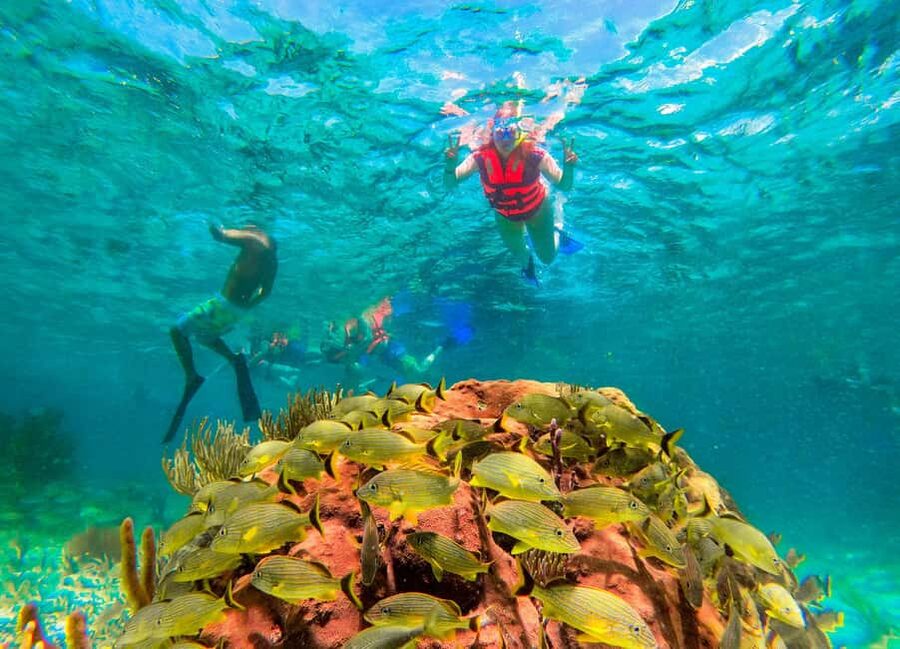 Puerto Morelos: National Reef Park Snorkeling & Beach Lunch - Who Will Get the Most from This Outing?
