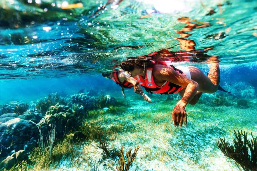 Puerto Morelos: National Reef Park Snorkeling & Beach Lunch - Should You Book the Puerto Morelos Reef Tour?