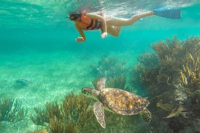 Puerto Morelos Reef Snorkeling Tour with Lunch & Hotel Pickup - Small details that improve the day