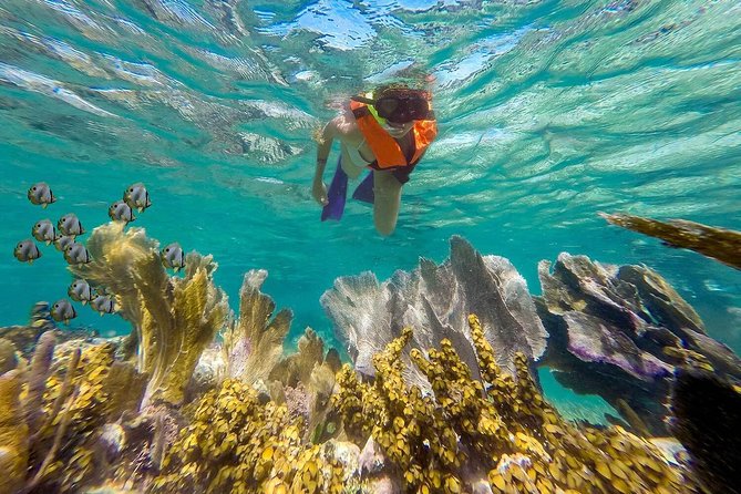 Puerto Morelos Reef Snorkeling Tour with Lunch & Hotel Pickup - Cancellation and weather rules