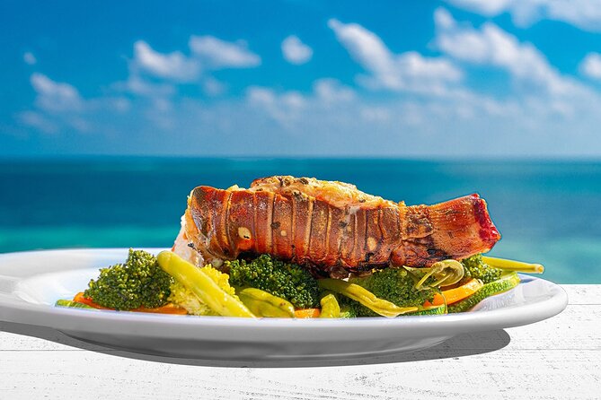 Puerto Morelos Reef Snorkeling Tour with Lunch & Hotel Pickup - Pickup from Cancun can shape your whole day