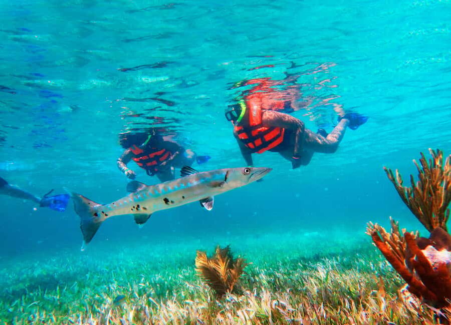 Puerto Morelos: Snorkel, Town Walk, Tequila & Beach Lunch - Snorkeling Puerto Morelos from Cancun and Riviera Maya