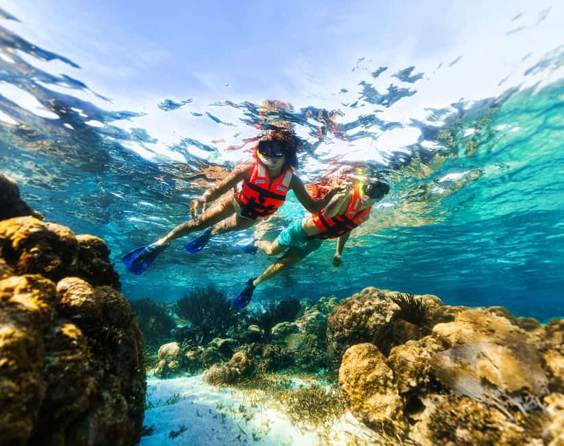 Puerto Morelos: Snorkel, Town Walk, Tequila & Beach Lunch - Tequila tasting and Puerto Morelos town time