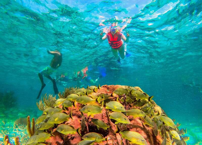 Puerto Morelos: Snorkel, Town Walk, Tequila & Beach Lunch - Three tacos by the beach